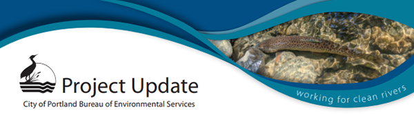 West Portland Town Center Stormwater Systems Plan